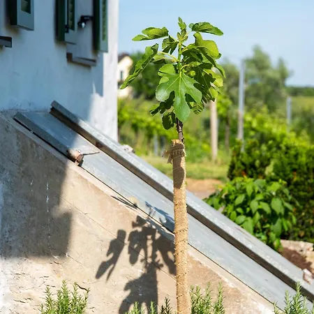 Kloechberg Relaxing & Living Dom wakacyjny