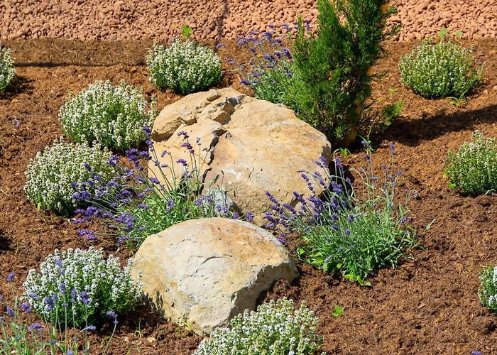 Kloechberg Relaxing & Living Vakantiehuis *